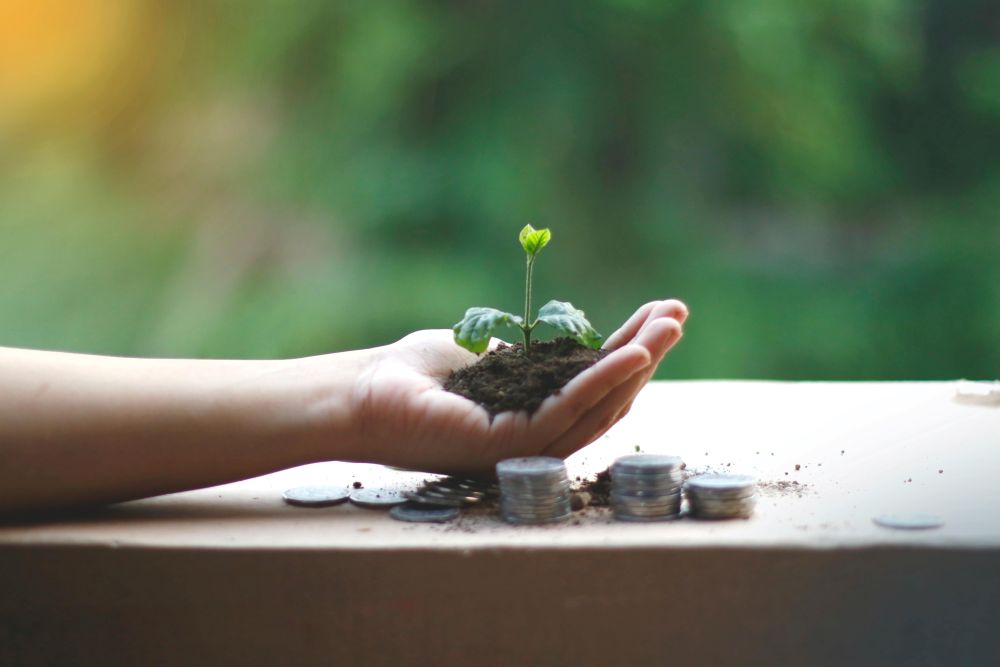 Finance écologique